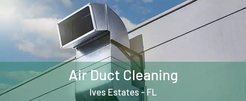  Air Duct Cleaning Ives Estates - FL