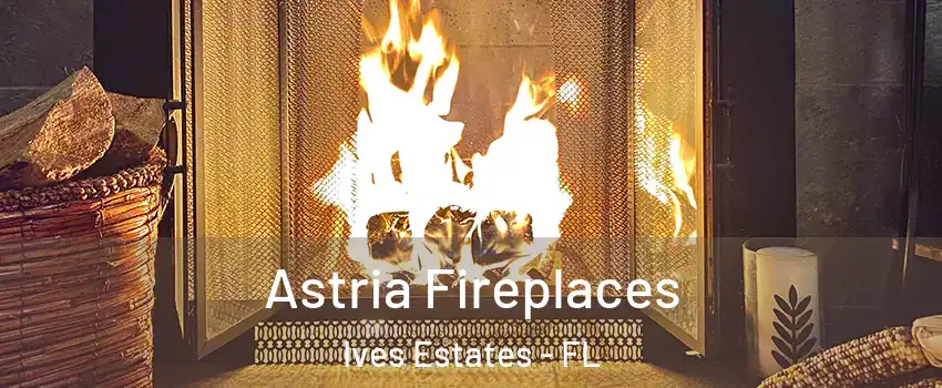  Astria Fireplaces Ives Estates - FL