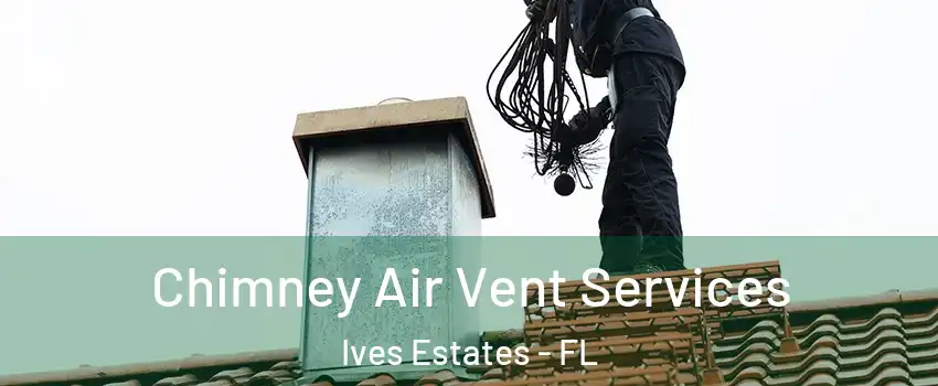  Chimney Air Vent Services Ives Estates - FL