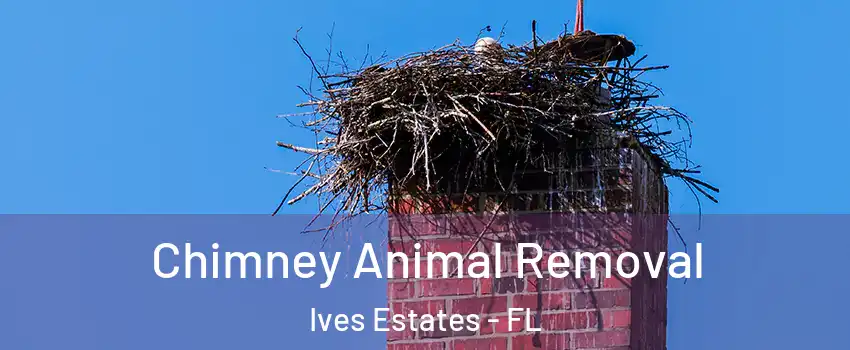  Chimney Animal Removal Ives Estates - FL