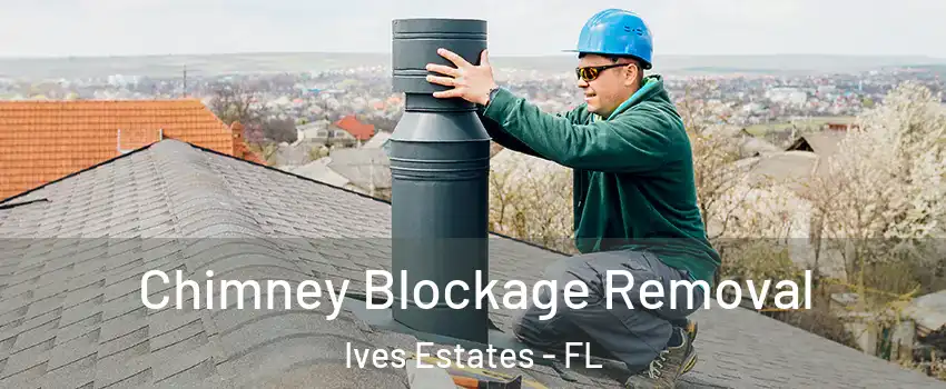  Chimney Blockage Removal Ives Estates - FL