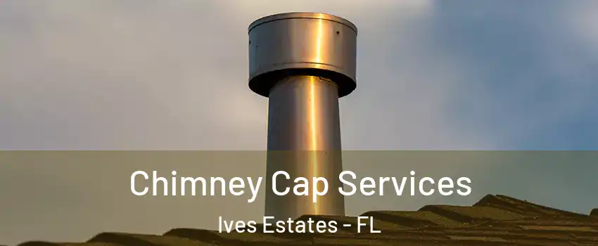  Chimney Cap Services Ives Estates - FL