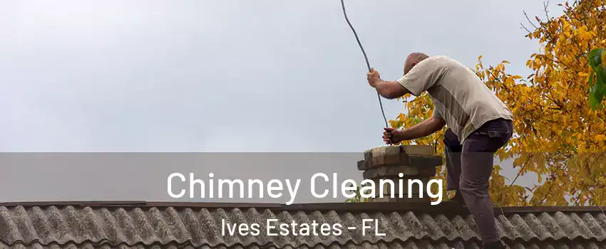  Chimney Cleaning Ives Estates - FL