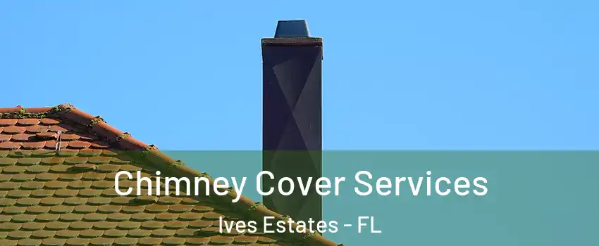  Chimney Cover Services Ives Estates - FL