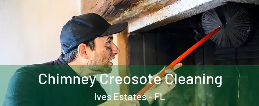  Chimney Creosote Cleaning Ives Estates - FL