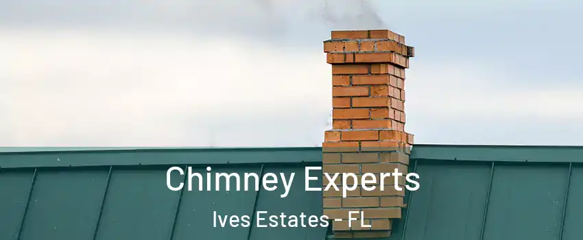  Chimney Experts Ives Estates - FL