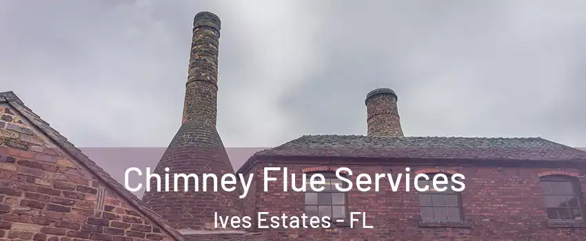  Chimney Flue Services Ives Estates - FL