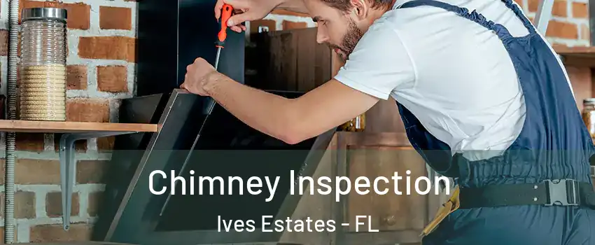  Chimney Inspection Ives Estates - FL