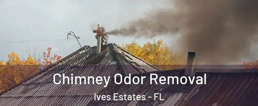  Chimney Odor Removal Ives Estates - FL