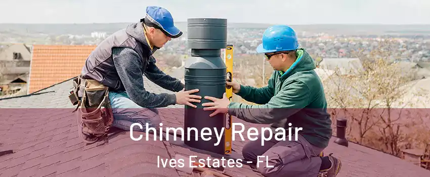  Chimney Repair Ives Estates - FL