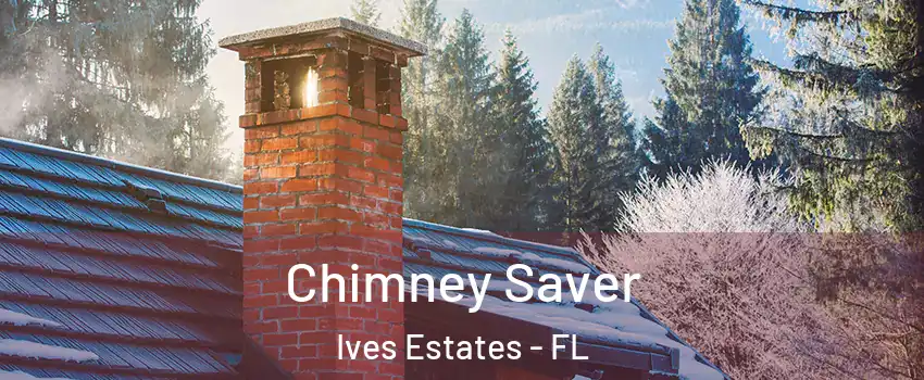  Chimney Saver Ives Estates - FL
