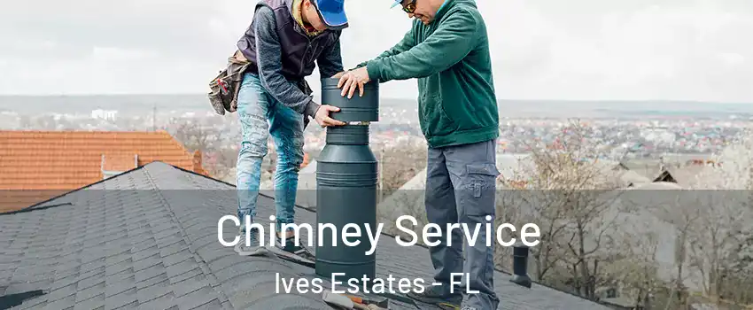  Chimney Service Ives Estates - FL
