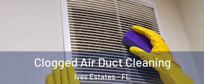  Clogged Air Duct Cleaning Ives Estates - FL