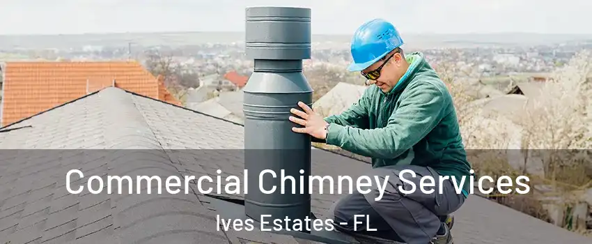  Commercial Chimney Services Ives Estates - FL