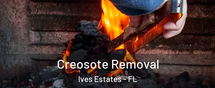  Creosote Removal Ives Estates - FL