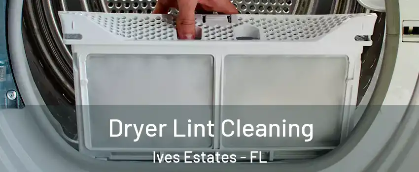  Dryer Lint Cleaning Ives Estates - FL