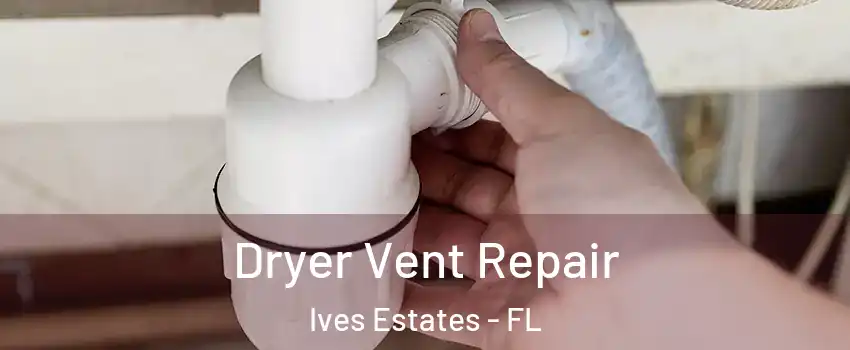  Dryer Vent Repair Ives Estates - FL