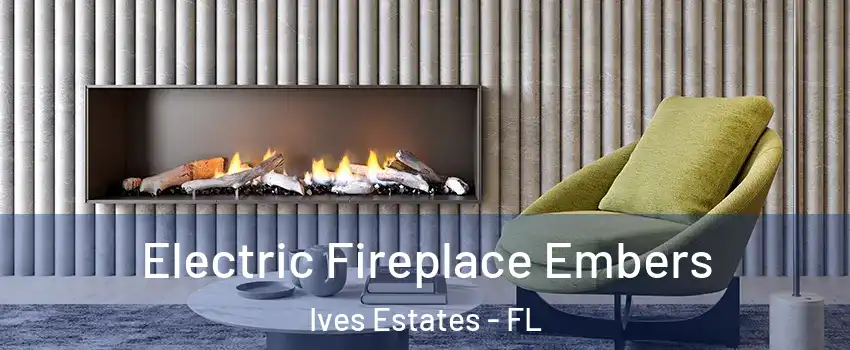  Electric Fireplace Embers Ives Estates - FL
