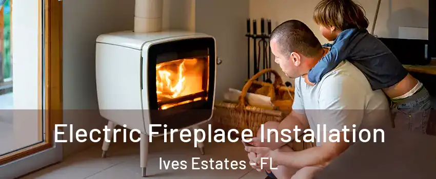  Electric Fireplace Installation Ives Estates - FL