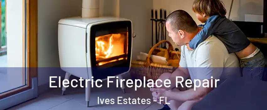  Electric Fireplace Repair Ives Estates - FL