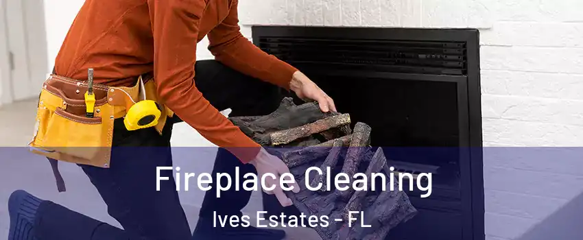  Fireplace Cleaning Ives Estates - FL