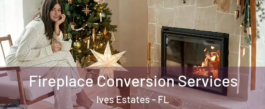  Fireplace Conversion Services Ives Estates - FL