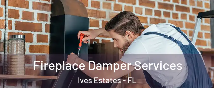  Fireplace Damper Services Ives Estates - FL