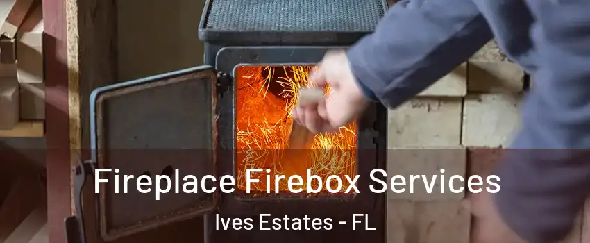  Fireplace Firebox Services Ives Estates - FL