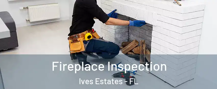  Fireplace Inspection Ives Estates - FL