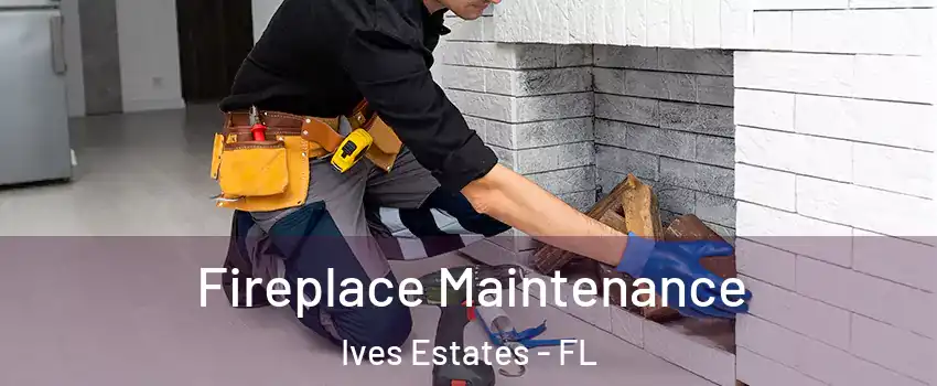  Fireplace Maintenance Ives Estates - FL