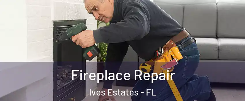  Fireplace Repair Ives Estates - FL