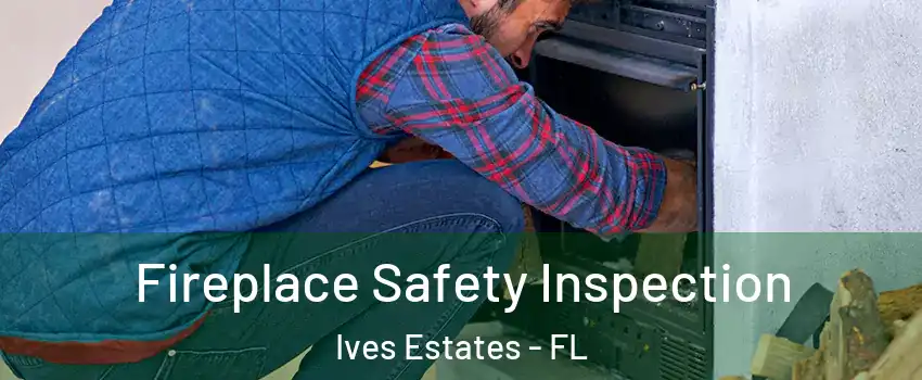  Fireplace Safety Inspection Ives Estates - FL