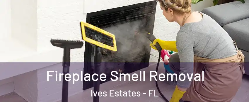  Fireplace Smell Removal Ives Estates - FL