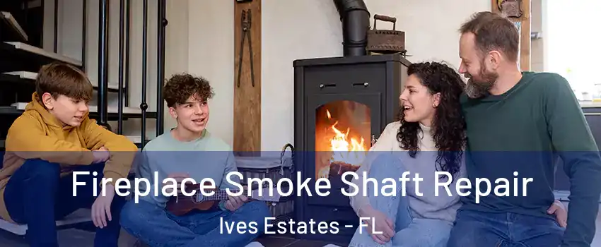  Fireplace Smoke Shaft Repair Ives Estates - FL