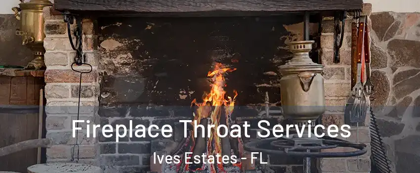  Fireplace Throat Services Ives Estates - FL