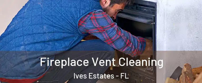  Fireplace Vent Cleaning Ives Estates - FL
