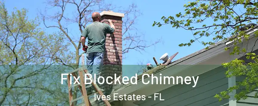  Fix Blocked Chimney Ives Estates - FL