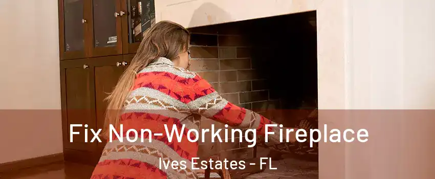  Fix Non-Working Fireplace Ives Estates - FL