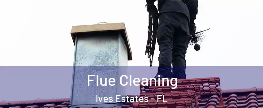  Flue Cleaning Ives Estates - FL