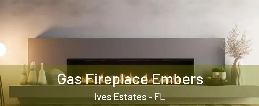  Gas Fireplace Embers Ives Estates - FL