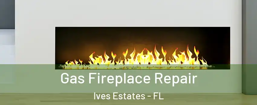  Gas Fireplace Repair Ives Estates - FL