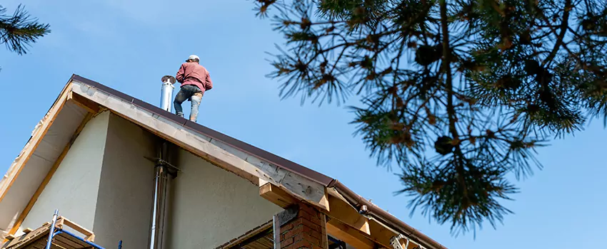 Birds Removal Contractors from Chimney in Ives Estates, FL