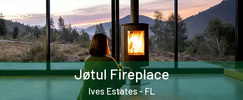  Jøtul Fireplace Ives Estates - FL