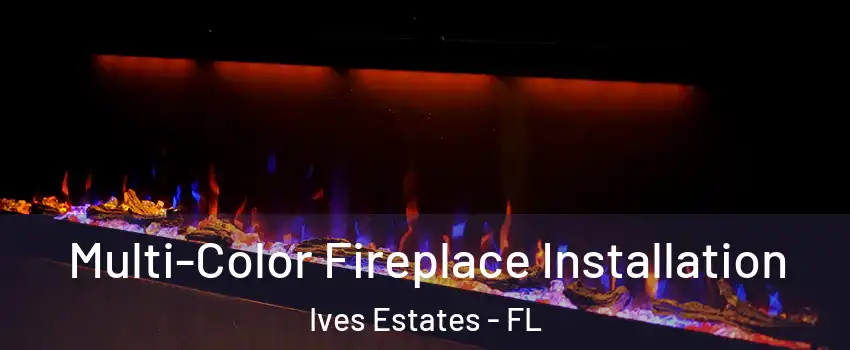  Multi-Color Fireplace Installation Ives Estates - FL