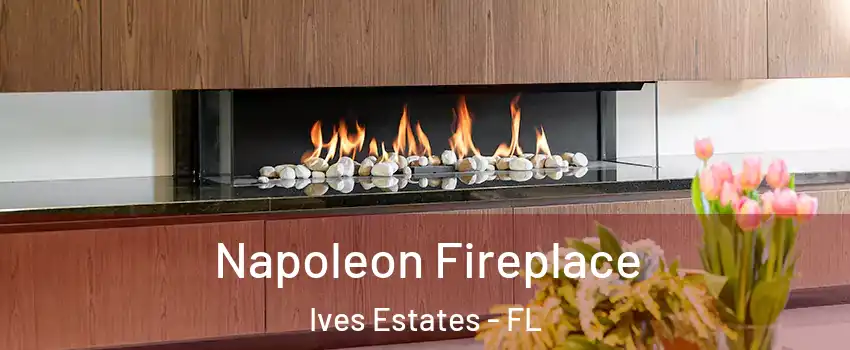  Napoleon Fireplace Ives Estates - FL