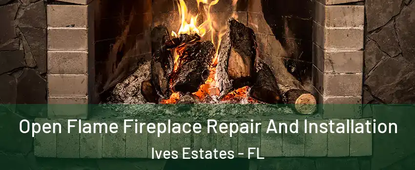  Open Flame Fireplace Repair And Installation Ives Estates - FL
