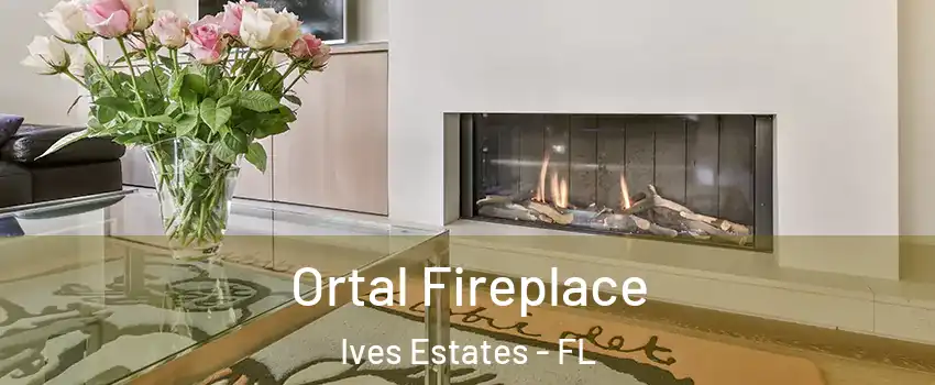  Ortal Fireplace Ives Estates - FL