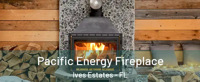 Pacific Energy Fireplace Ives Estates - FL