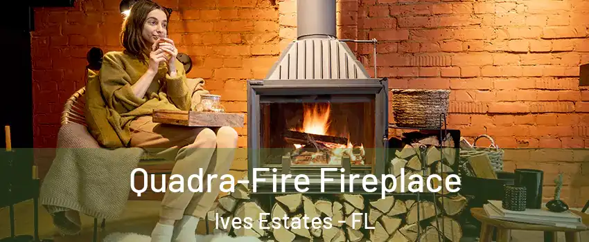  Quadra-Fire Fireplace Ives Estates - FL