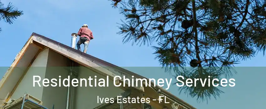  Residential Chimney Services Ives Estates - FL